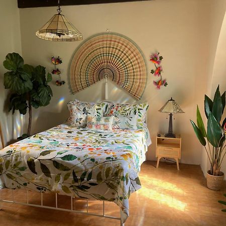 The Garden Apartment, The Willow Apartment, & The Tropical Apartment At Casa Of Essence In Old San Juan Bagian luar foto