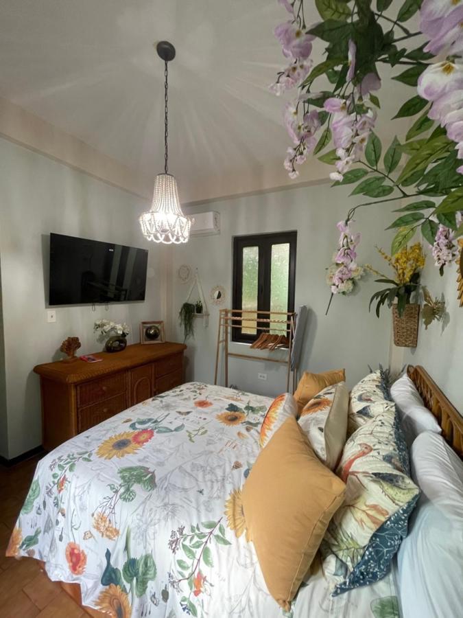 The Garden Apartment, The Willow Apartment, & The Tropical Apartment At Casa Of Essence In Old San Juan Bagian luar foto