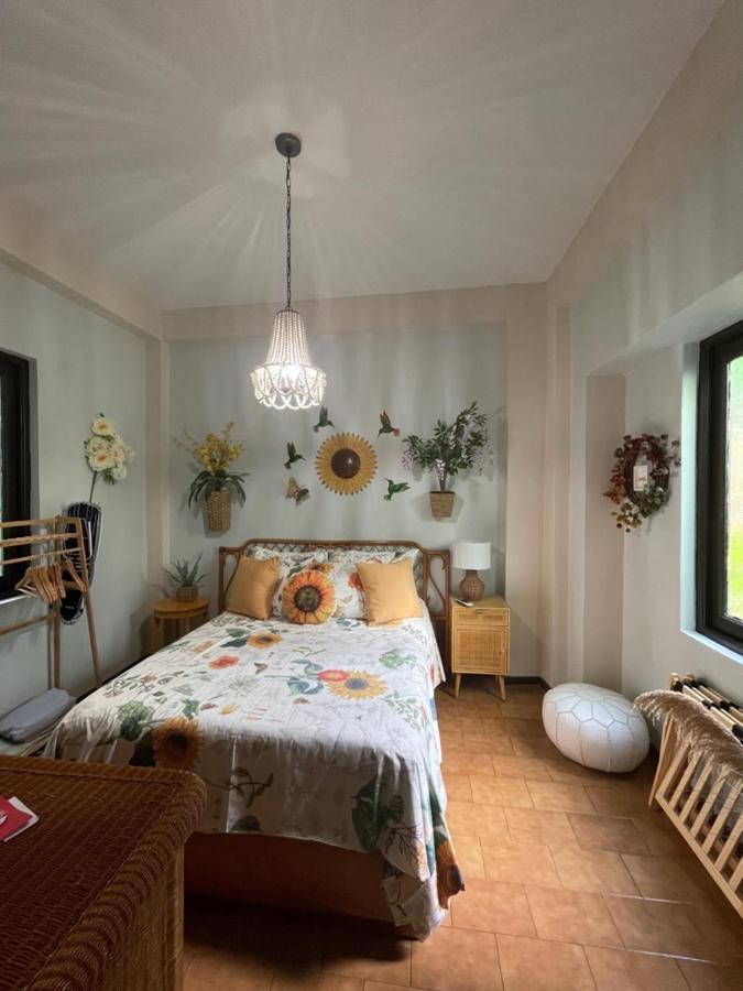 The Garden Apartment, The Willow Apartment, & The Tropical Apartment At Casa Of Essence In Old San Juan Bagian luar foto