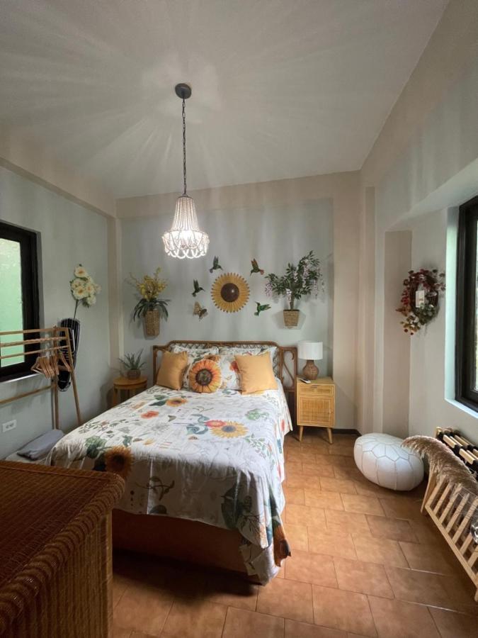 The Garden Apartment, The Willow Apartment, & The Tropical Apartment At Casa Of Essence In Old San Juan Bagian luar foto