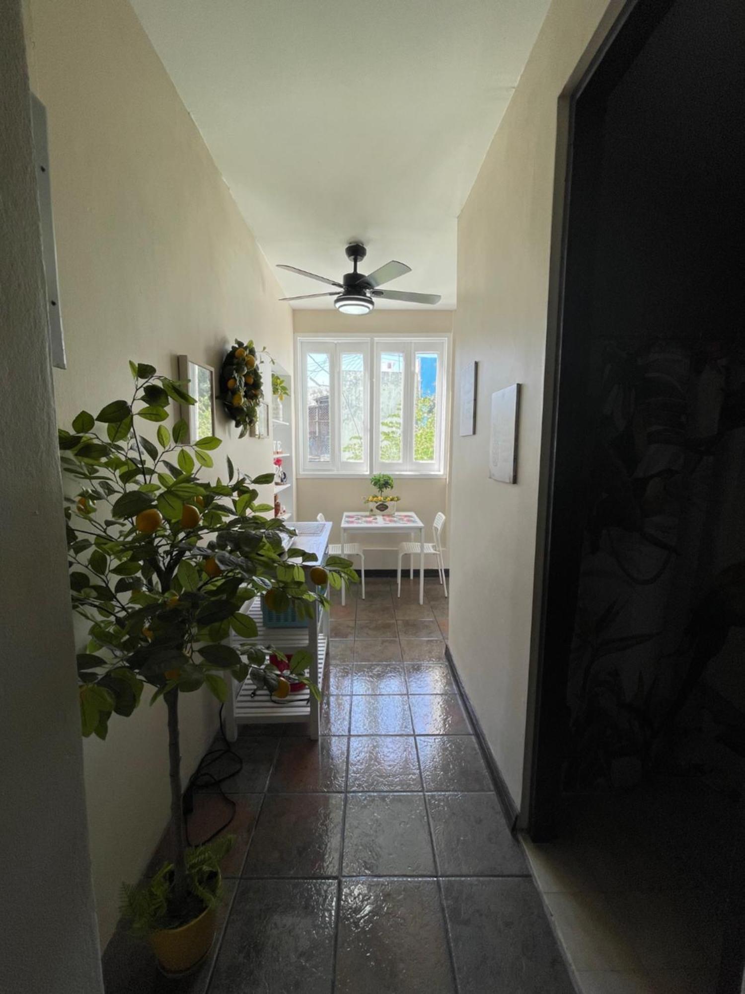 The Garden Apartment, The Willow Apartment, & The Tropical Apartment At Casa Of Essence In Old San Juan Bagian luar foto