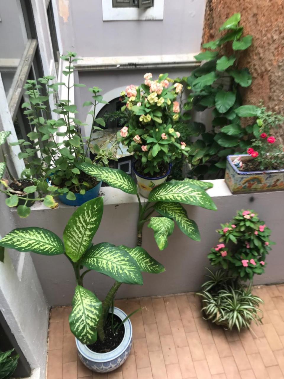The Garden Apartment, The Willow Apartment, & The Tropical Apartment At Casa Of Essence In Old San Juan Bagian luar foto